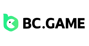 Everything You Need to Know About BC Stavka 13 Everything You Need to Know About BC Stavka 13